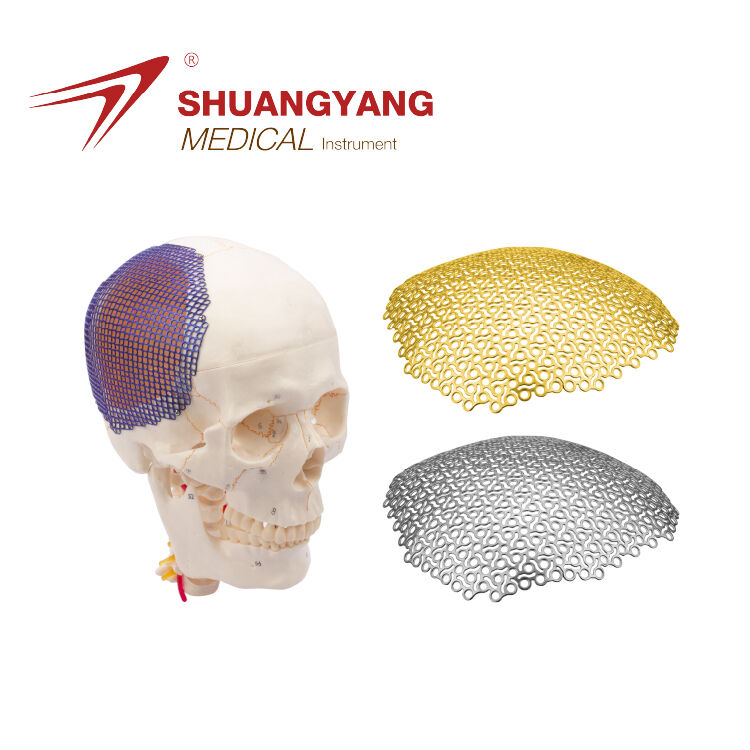 Anatomical 3D flower shape titanium mesh Used For Skull Restoration System