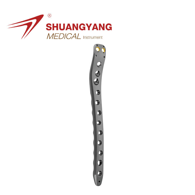 Multi-axial neck of femur locking plate Ⅰ type
