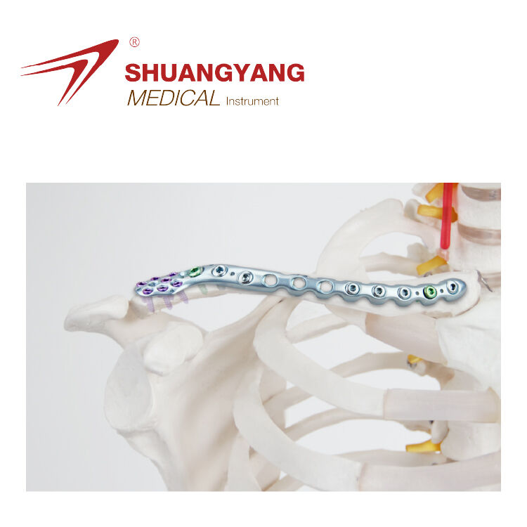 Distal Clavicle reconstruction locking plate II