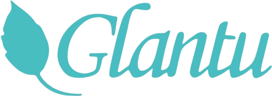 Ningbo Glantu Electronic Industry And Trade Co., Ltd.