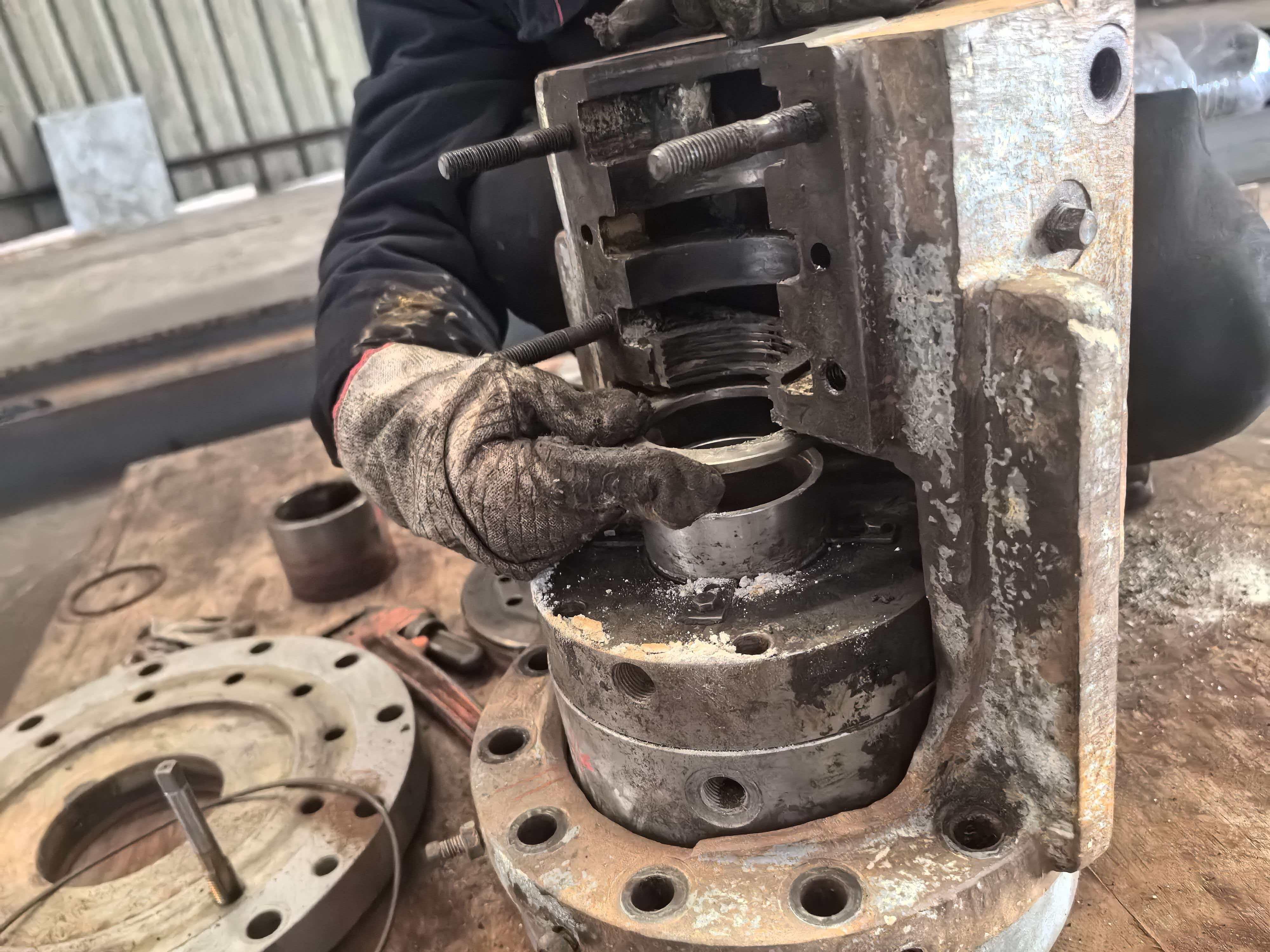 Comprehensive Application Versatility and Compatibility