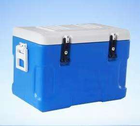 Plastic insulated box