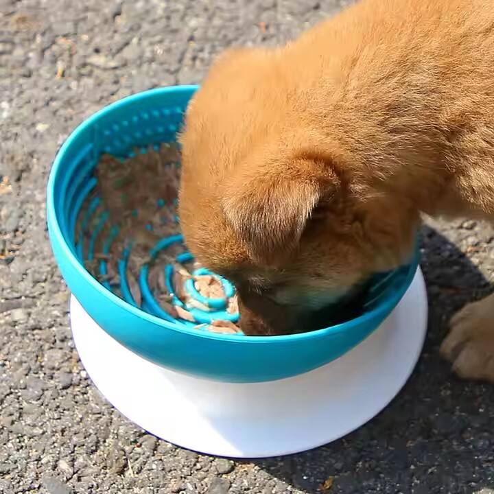 Conveniently Designed Feeding Bowls