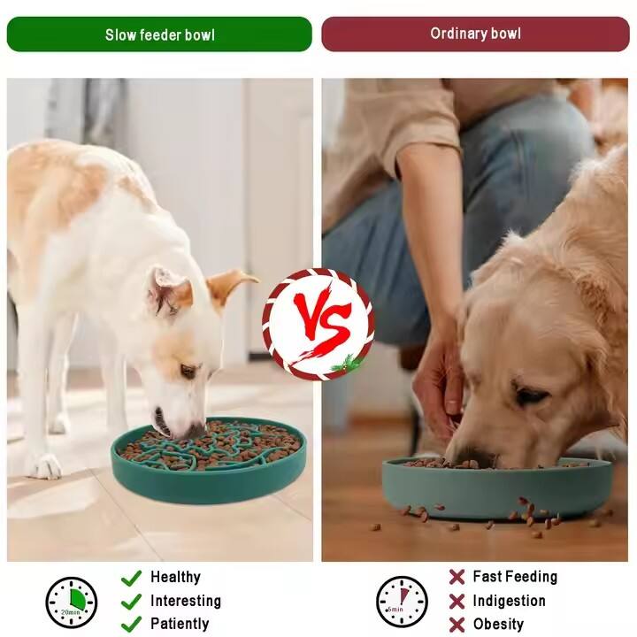 Pet Wholesome in a Bowl