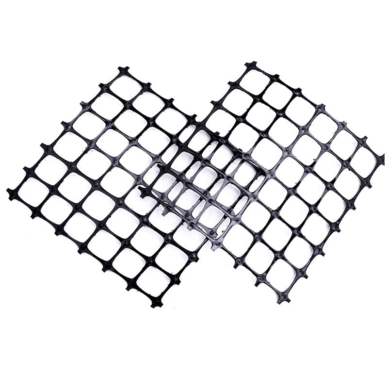 Geogrid