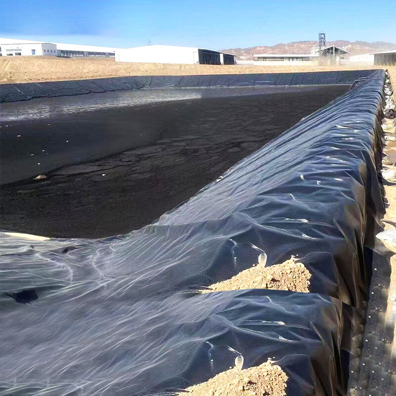 Where to Source Durable and Reliable Geomembrane Pond Liners at Wholesale Prices