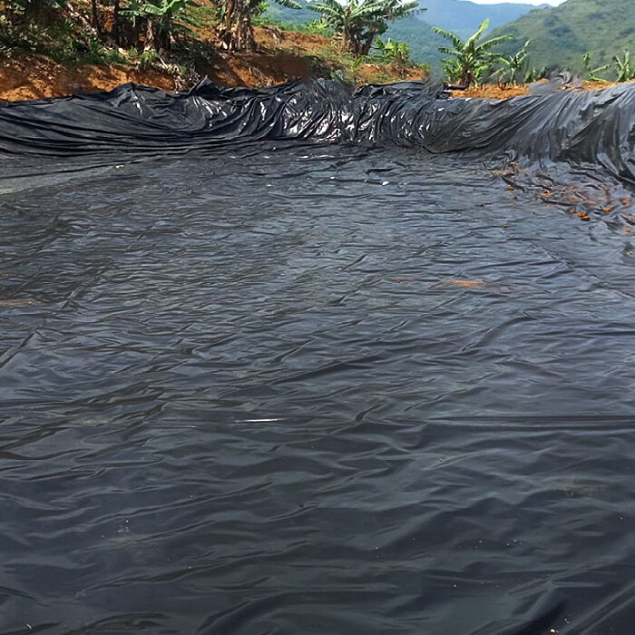 Top benefits of using a professional-grade outdoor pond liner