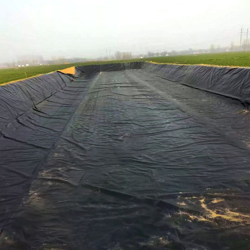 "Where to buy affordable custom pond liners