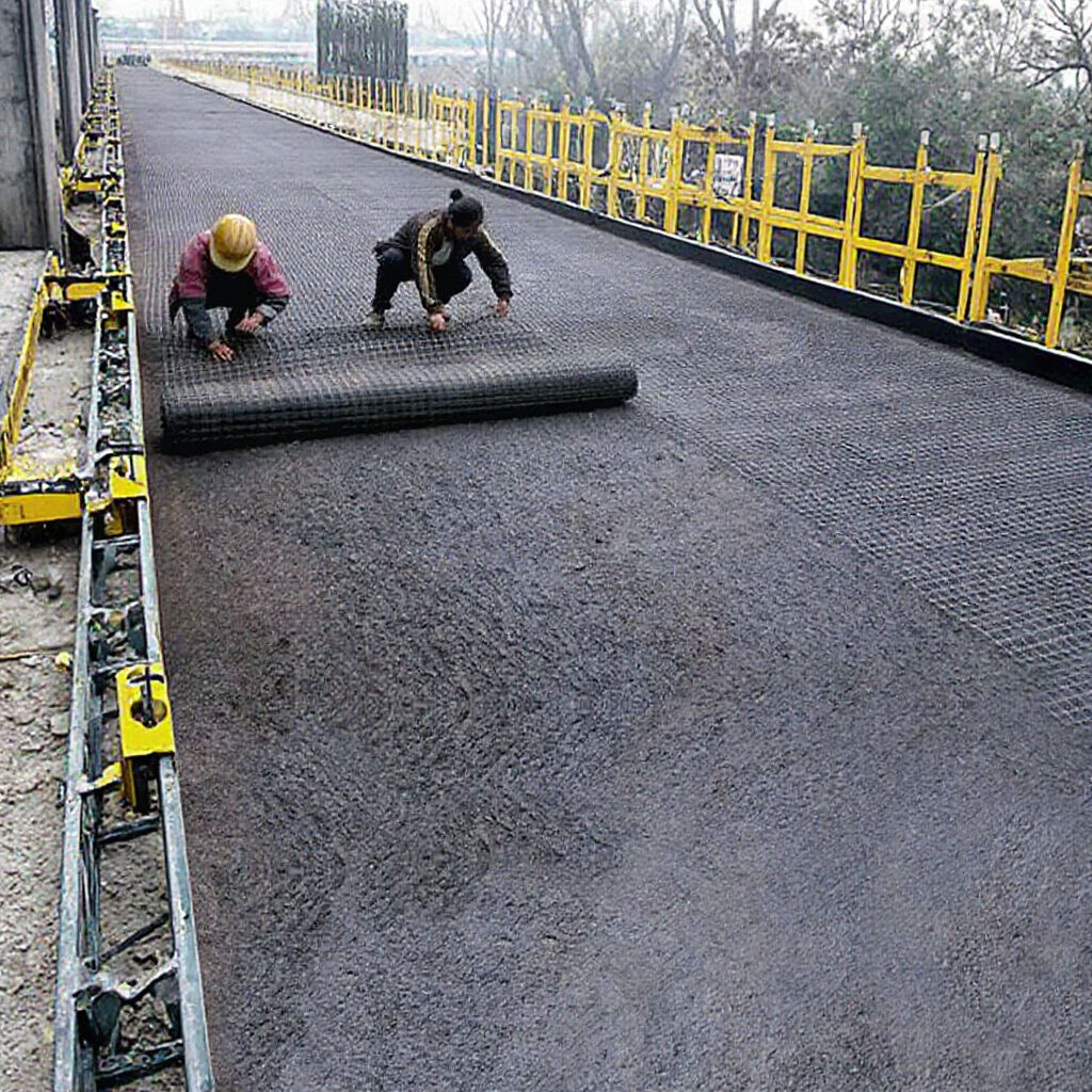 geogrid driveway for long-lasting pavement solutions