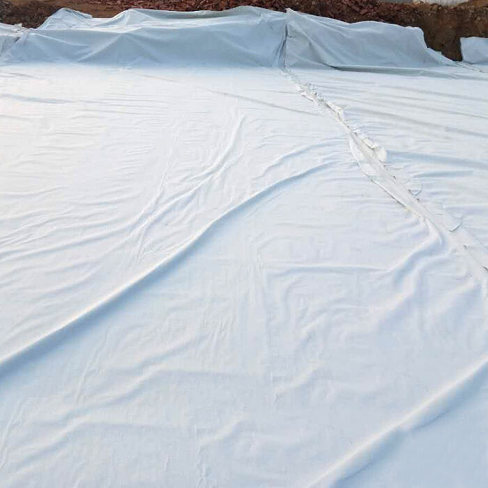 Are You Looking for a Durable and Long-Lasting Geotex Membrane Supplier?