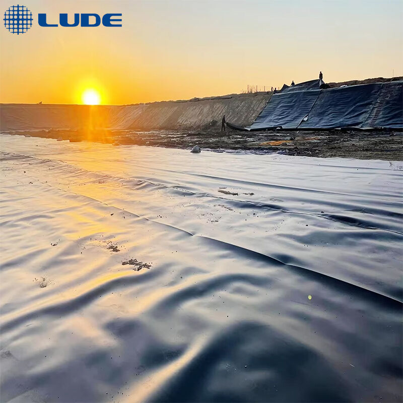 Top trending fish pond liner options for wholesale buyers