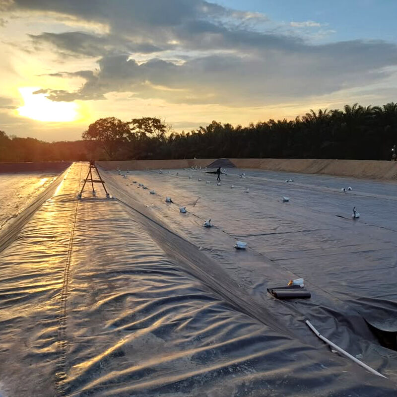 What You Need to Know About Polyethylene Pond Liners for Commercial Use