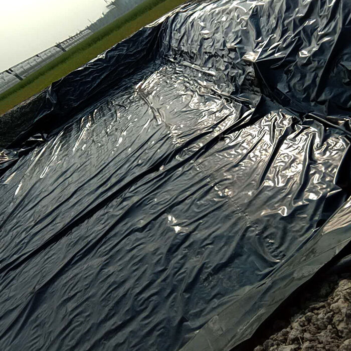 Eco-friendly pond waterproofing membrane options