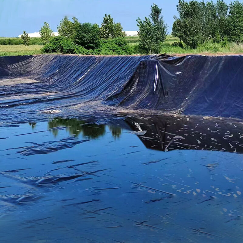 Protecting the environment with geomembrane liners for landfills