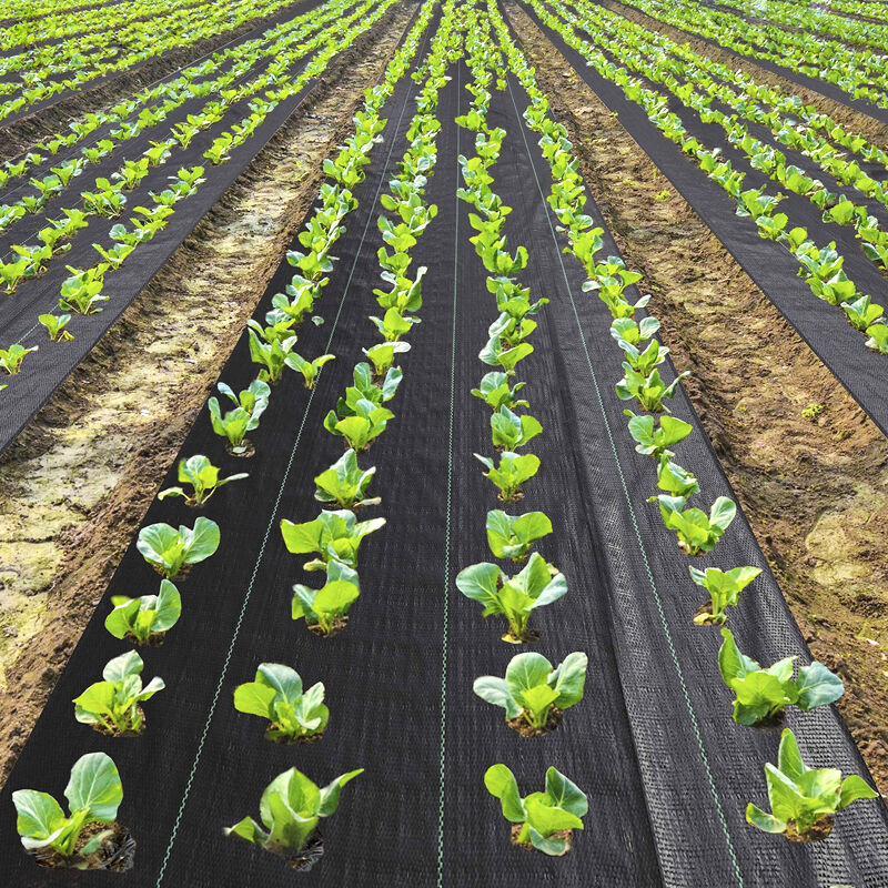 Benefits of using woven non woven geotextile in drainage systems