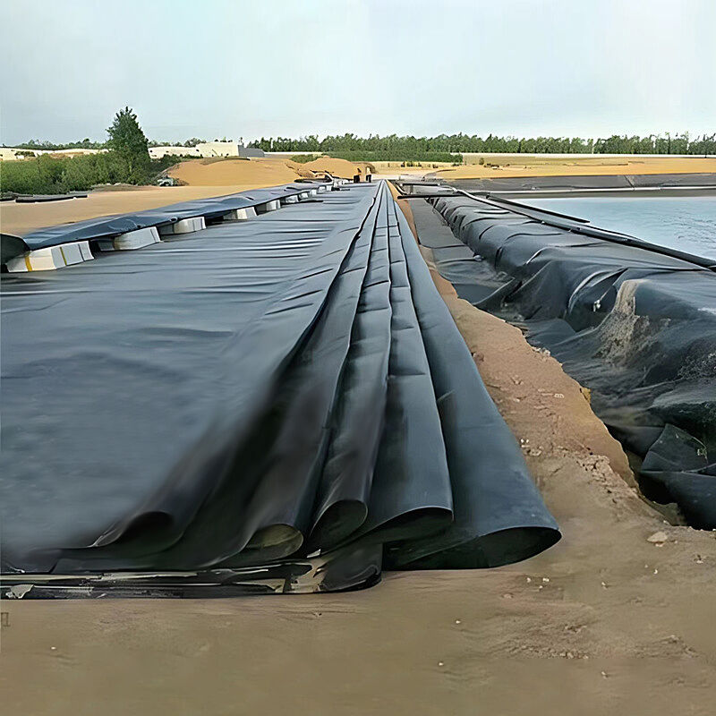 Where to Buy Affordable Large Pond Liners for Landscaping and Aquaculture