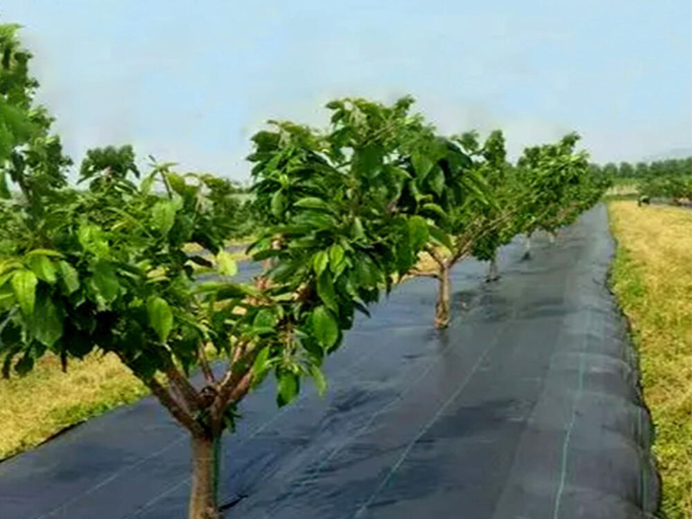 Shandong ROAD New Materials Co., Ltd.: Pioneering Water Conservation Through Technological Innovation and Green Geosynthetics  