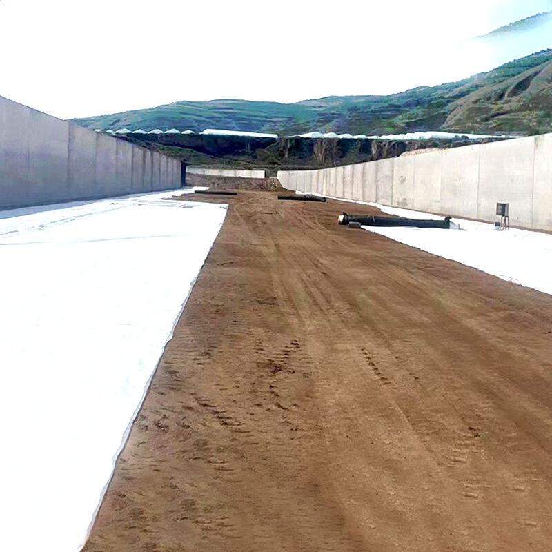 the key to preventing soil erosion