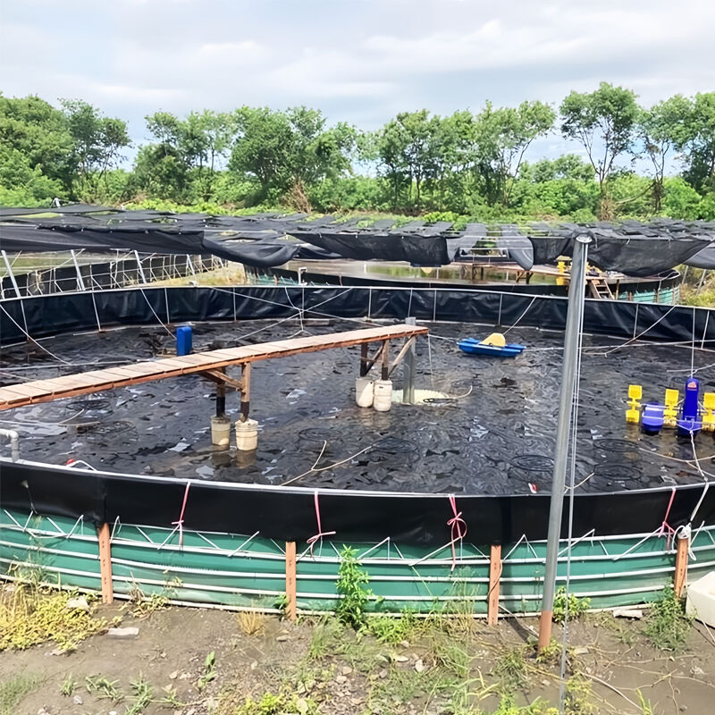 "Best pond liners for backyard ponds