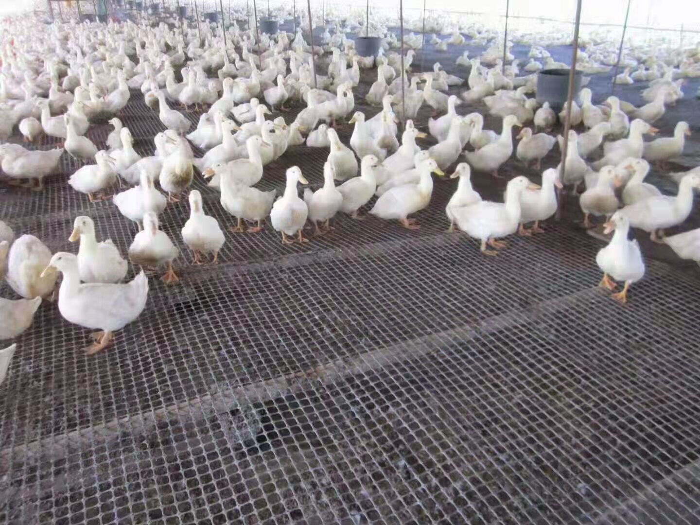 Tips for Effective Installation