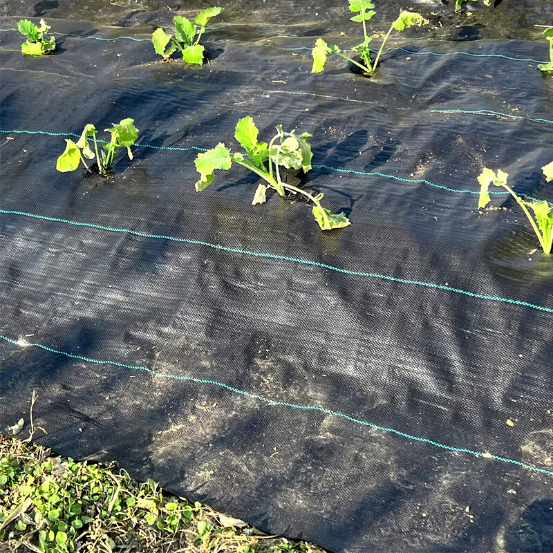 Why PP woven geotextile is popular among contractors and engineers