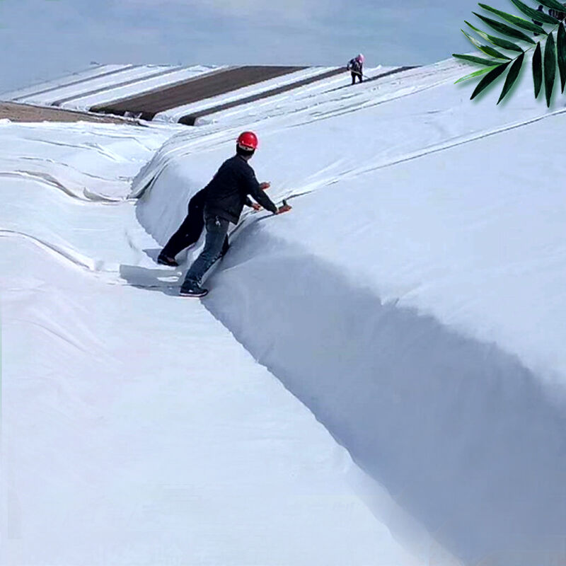 Affordable geotextile filter options for bulk orders