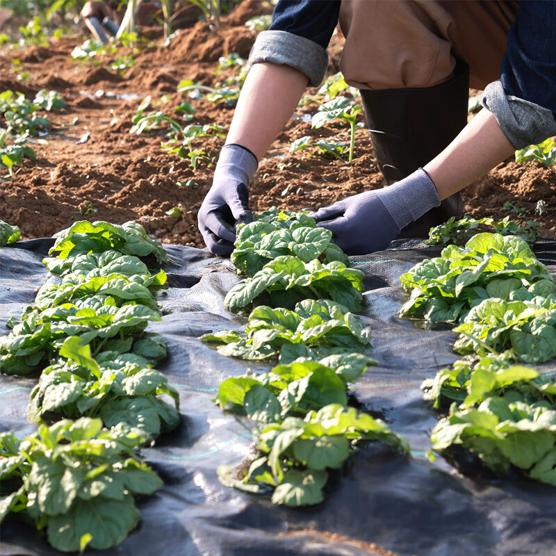 woven and non woven geotextile