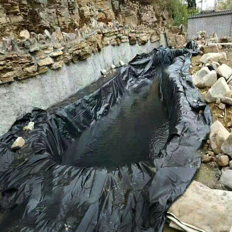 Common issues with pond membrane and how to prevent them