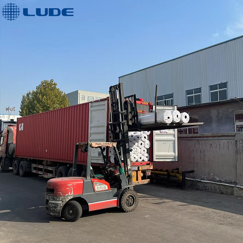 What sets geogrid paving apart from traditional paving methods