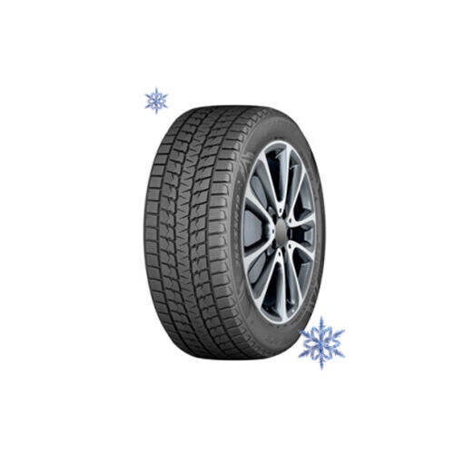 Winter Tire Technologies