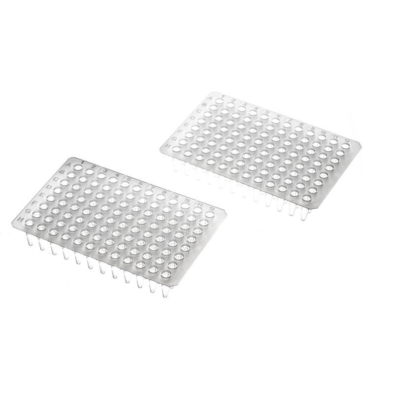 0.1mL 0.2mL Plaka PCR, 96-shoqëruese