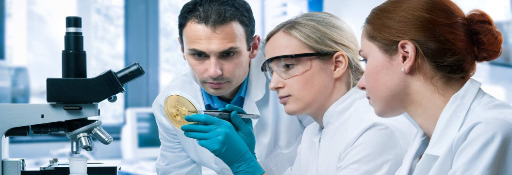 Scientific Research Field