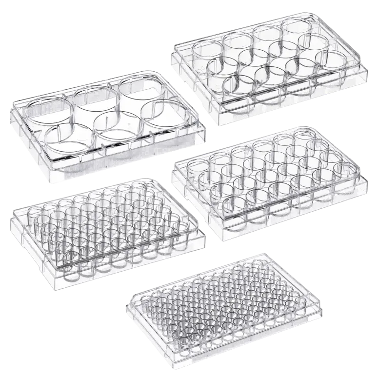 Ce qu’il faut prendre en compte lors du choix de plaques de culture cellulaire multicellulaires