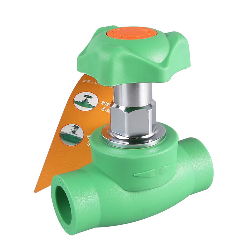 Upptäck fördelarna med PPR-material för dina projekt