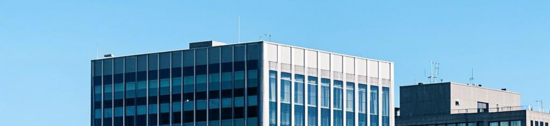 Company Introduction