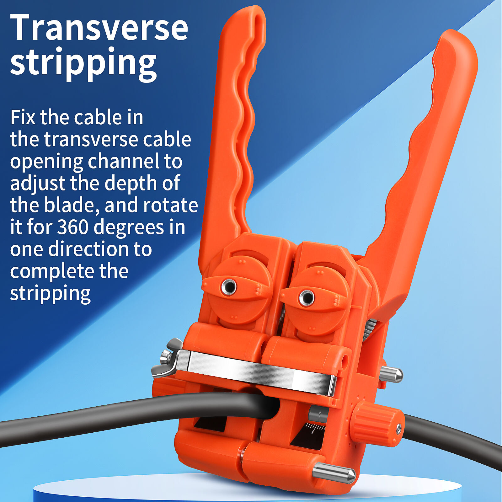 3(a5dcc3c988).jpg