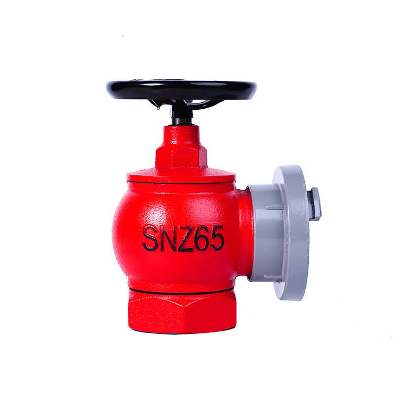 Enhanced Emergency Response Efficiency
