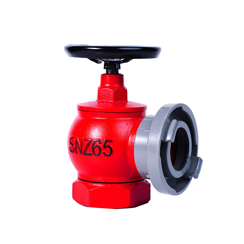 Advanced Smart Monitoring System