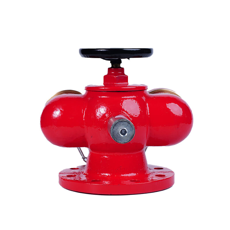 Enhanced Safety and Security Features