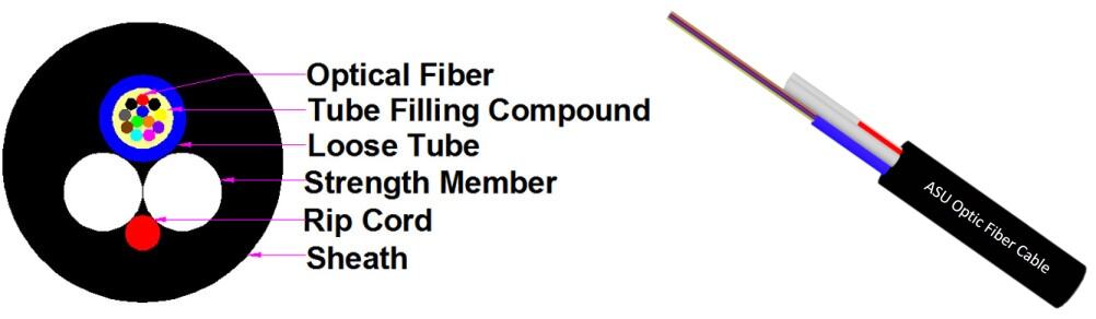 Fiber