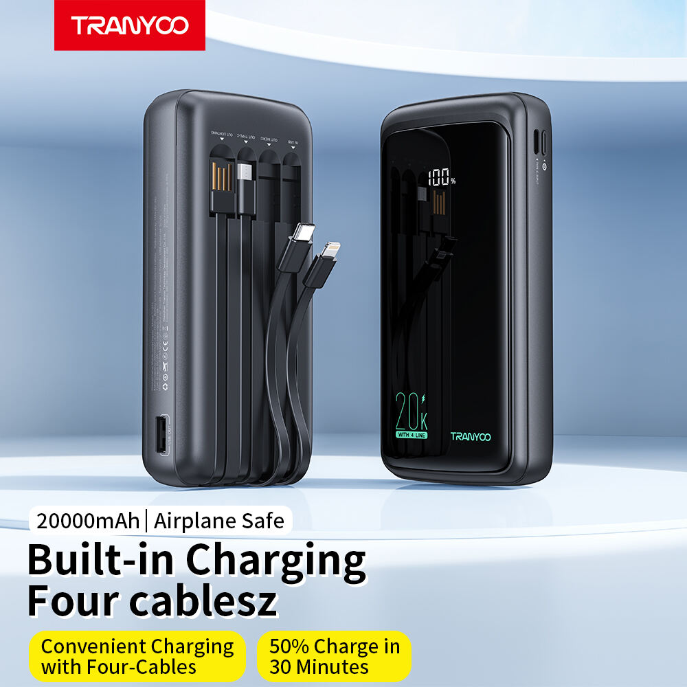 Power Bank T-D11