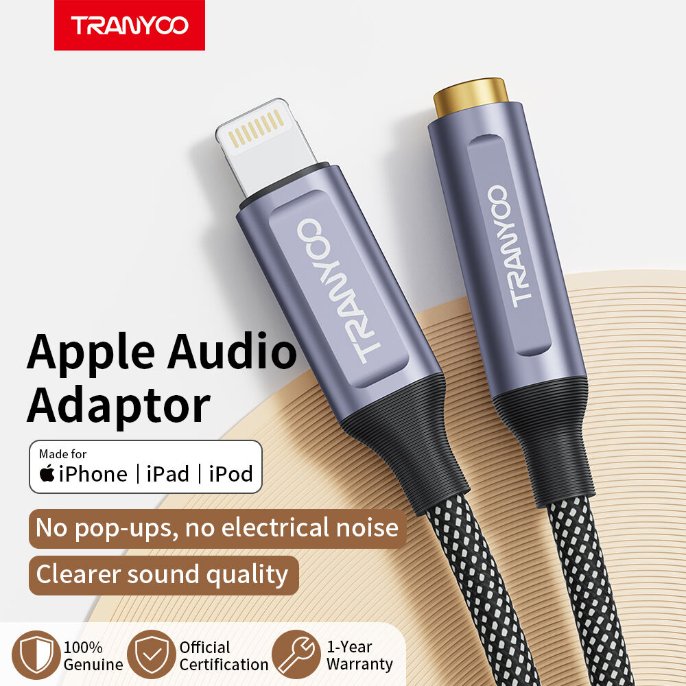 Audio-Kabel, Konverter T-E9