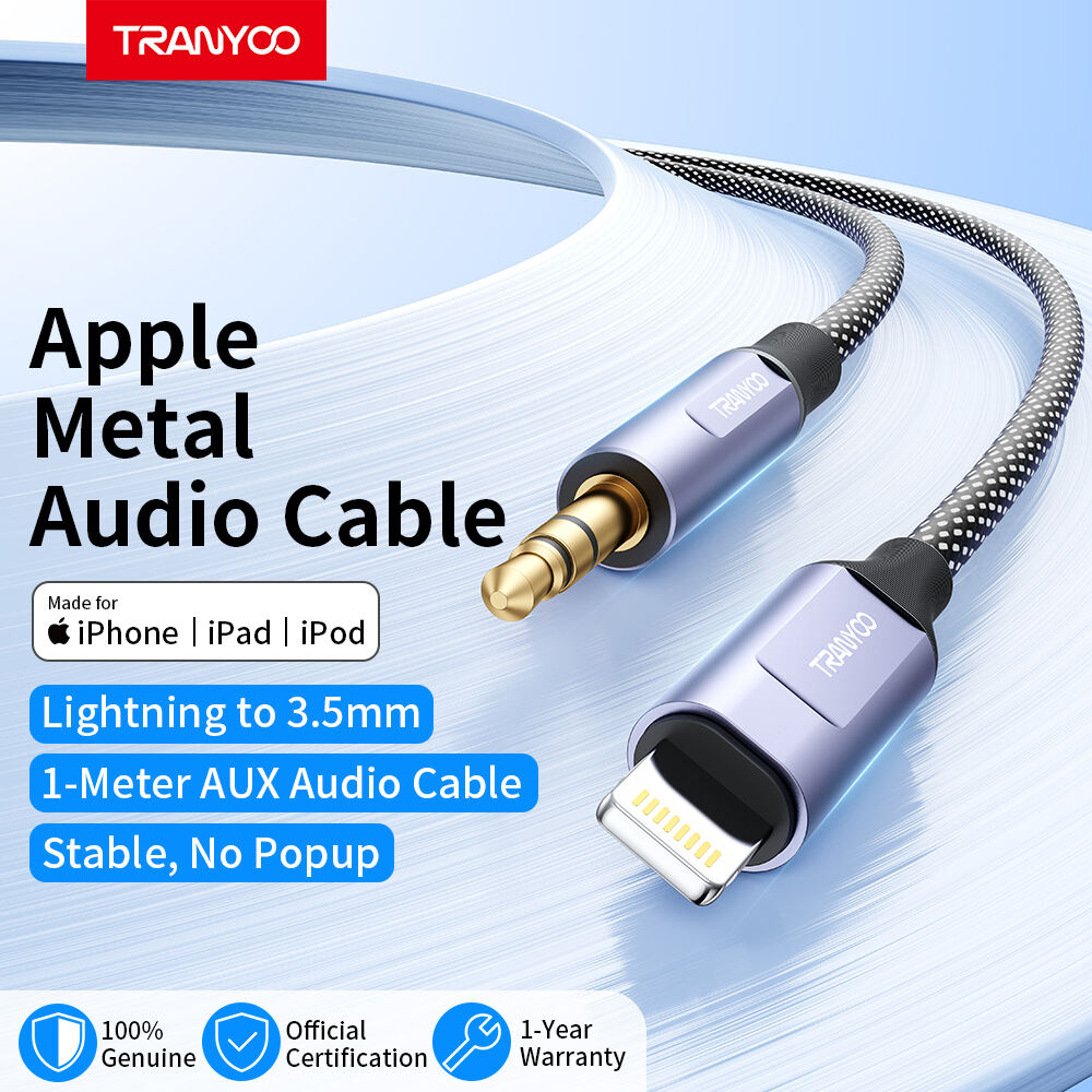 Audio-Kabel, Converter T-E15