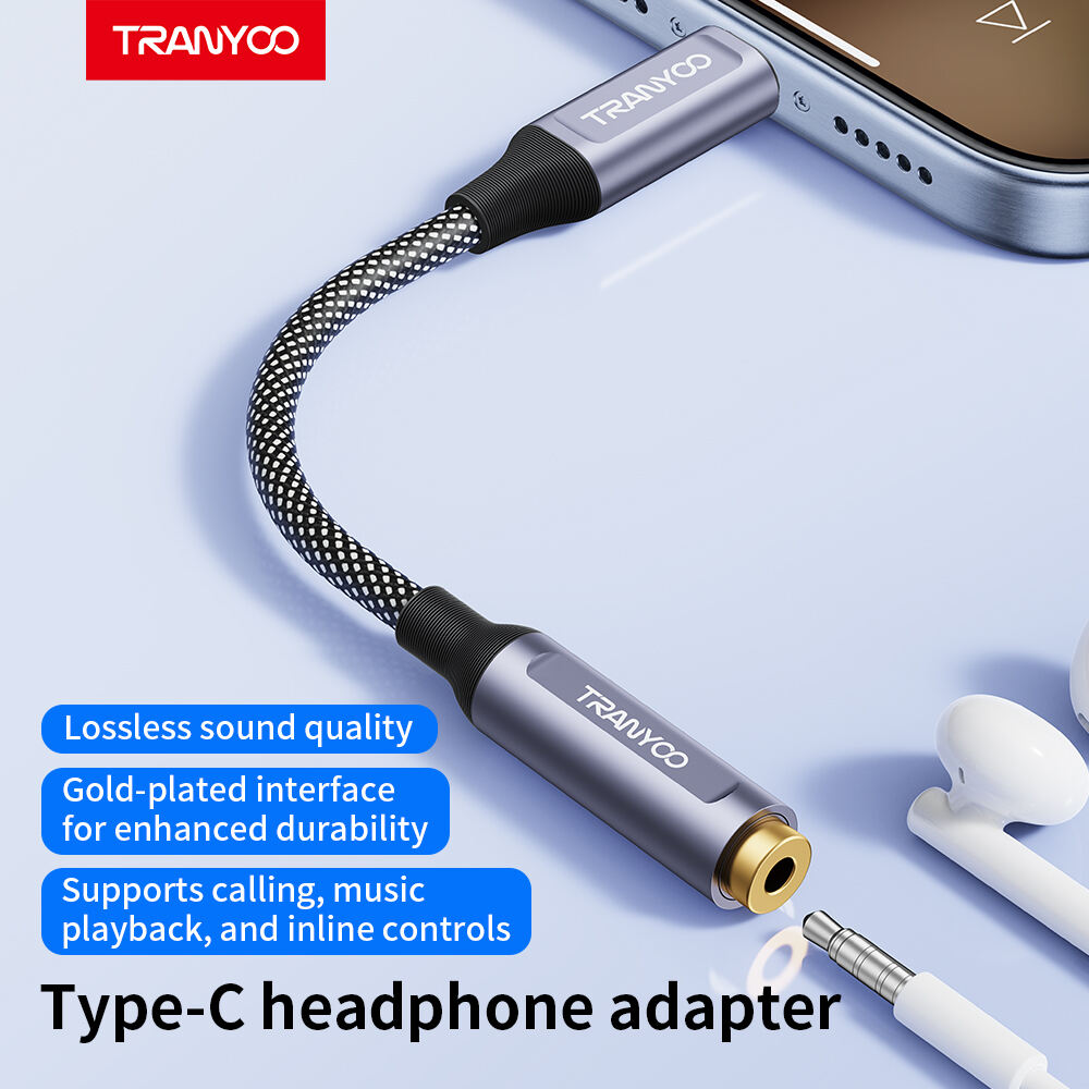 Audio-Kabel, Konverter T-E8