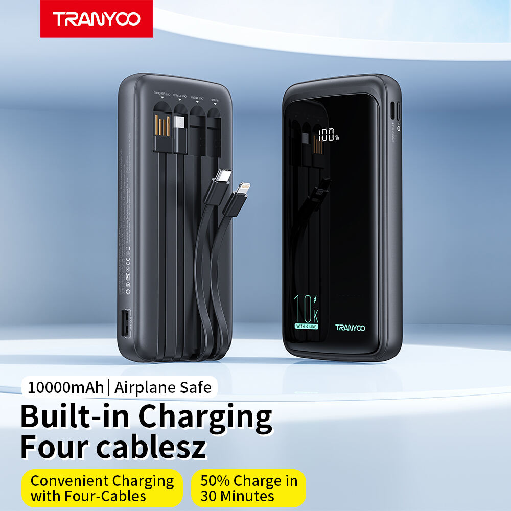 Power Bank T-D10