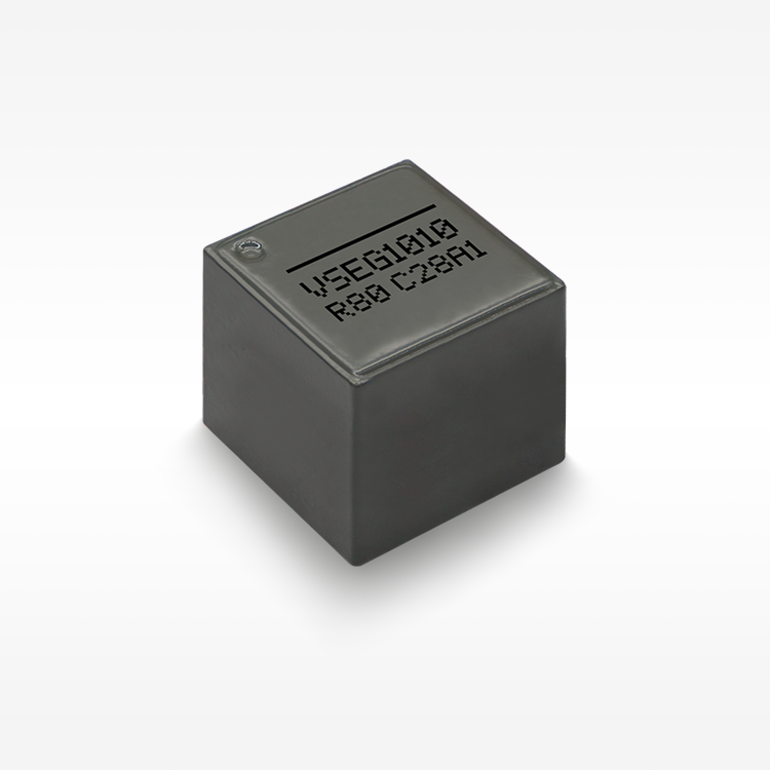 VSEG1010