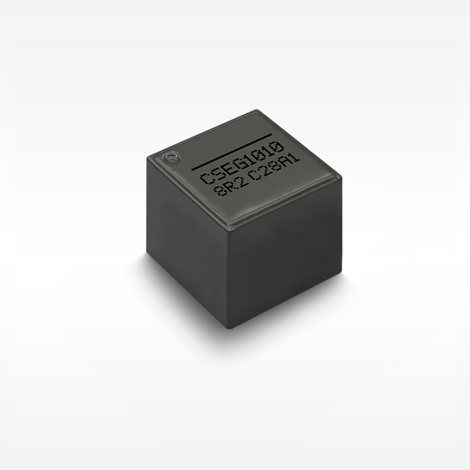 CSEG1010