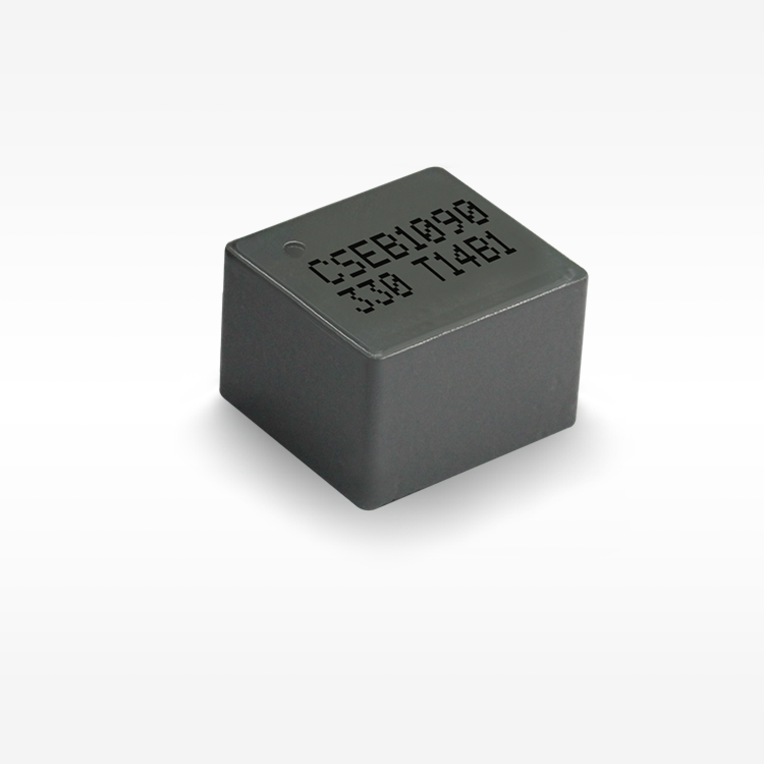 CSEB1090