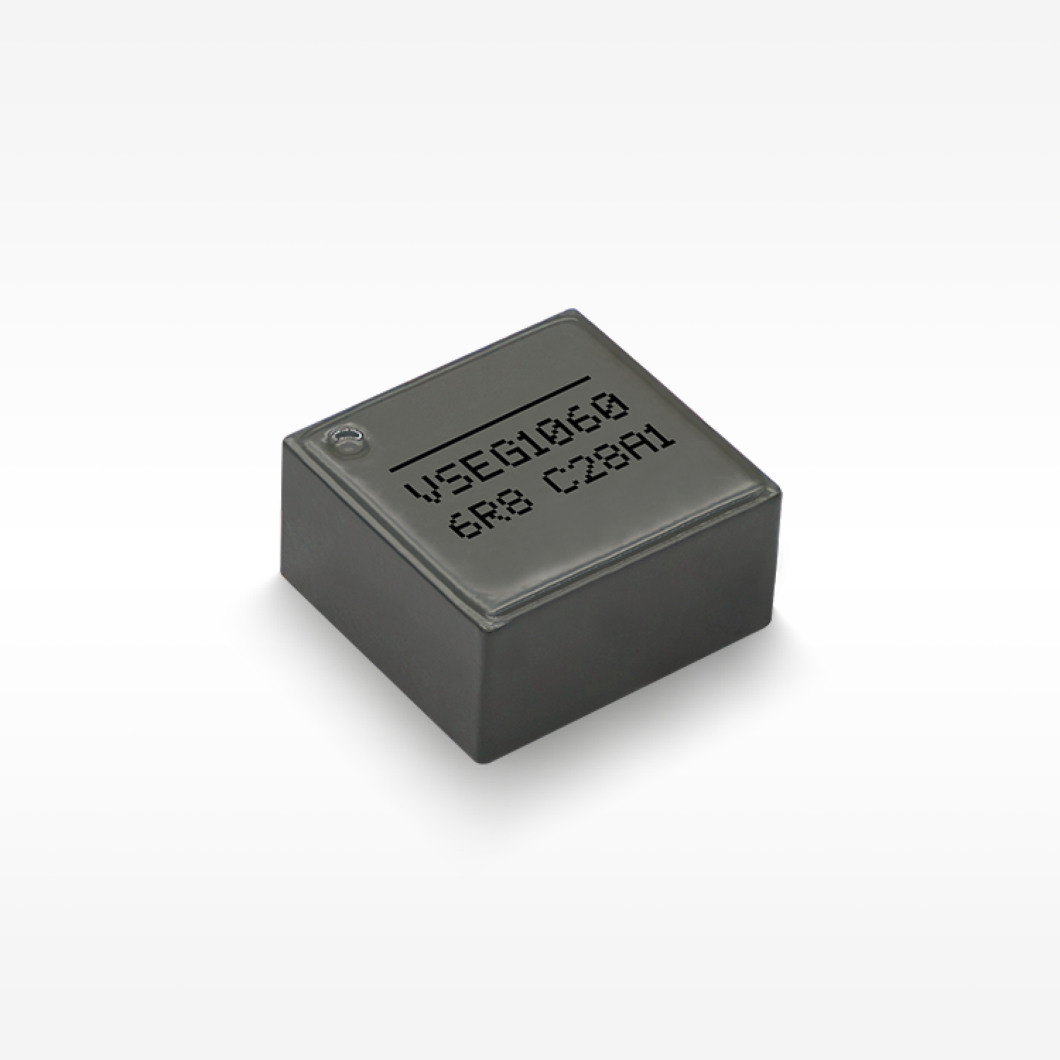 VSEG1060