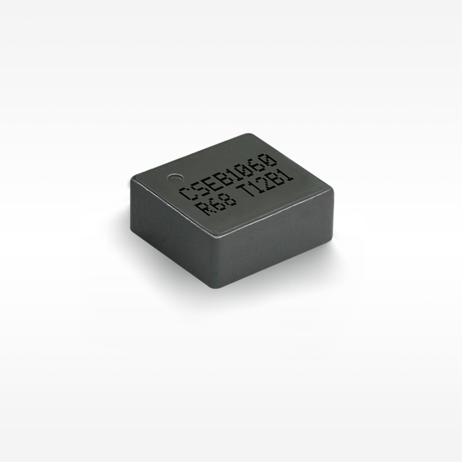 CSEB1060